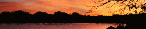 stillwaters_animated.gif